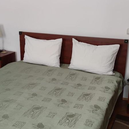 Garsoniera Central سيبيو المظهر الخارجي الصورة